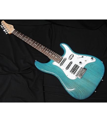 Amazon | SCHECTER JOL-CT-7 BKAQ フレイムメイプルトップ シェクター